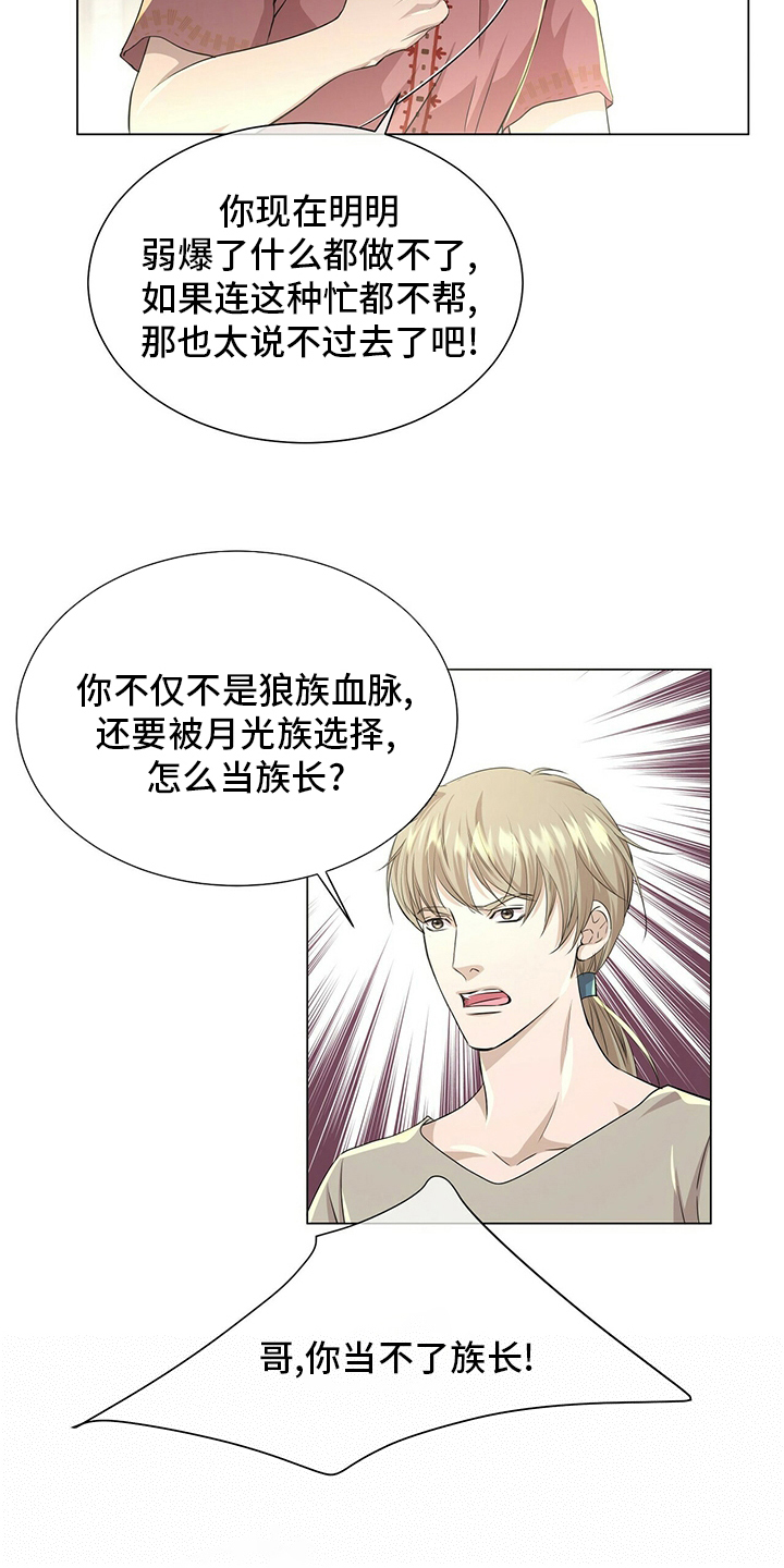 狼王子漫画,第128章：【第二季】准备行动4图