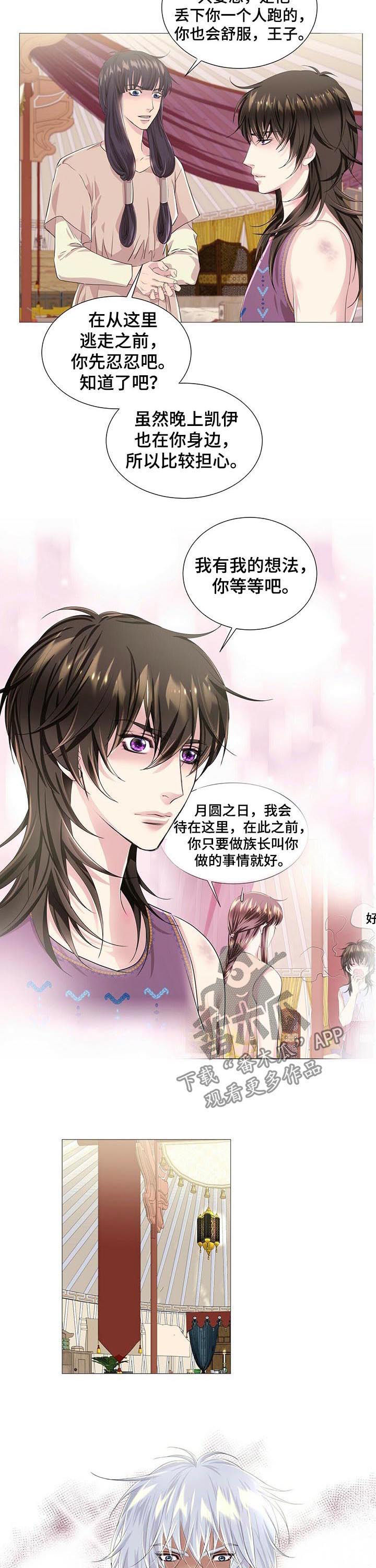 狼王子漫画,第49章：借口3图