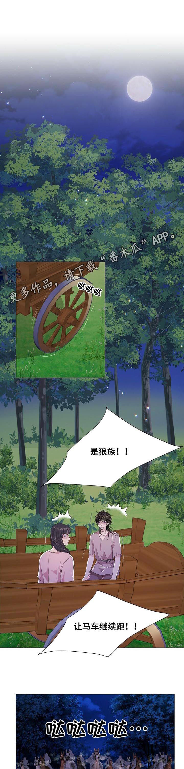 狼王子漫画,第76章：攻击1图
