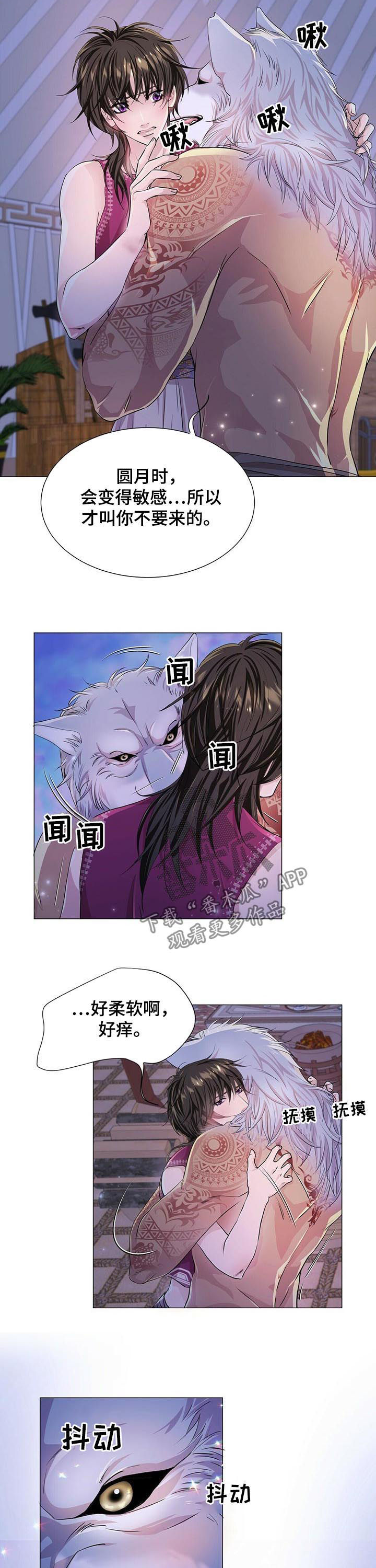 狼王子漫画,第59章：香味5图