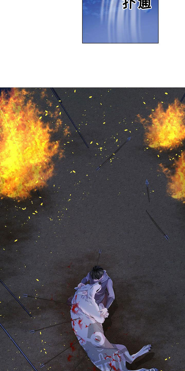 狼王子漫画,第154章：【第二季】挡箭3图