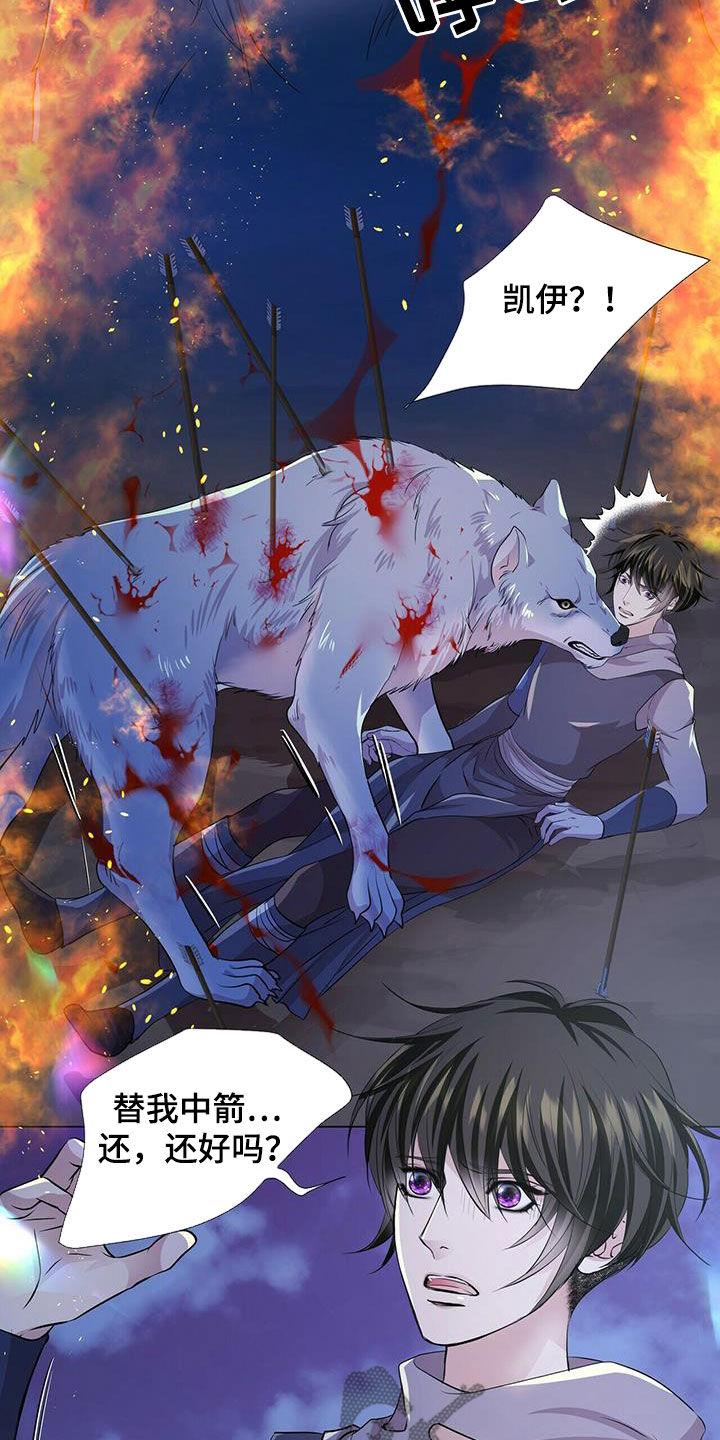 狼王子漫画,第154章：【第二季】挡箭4图