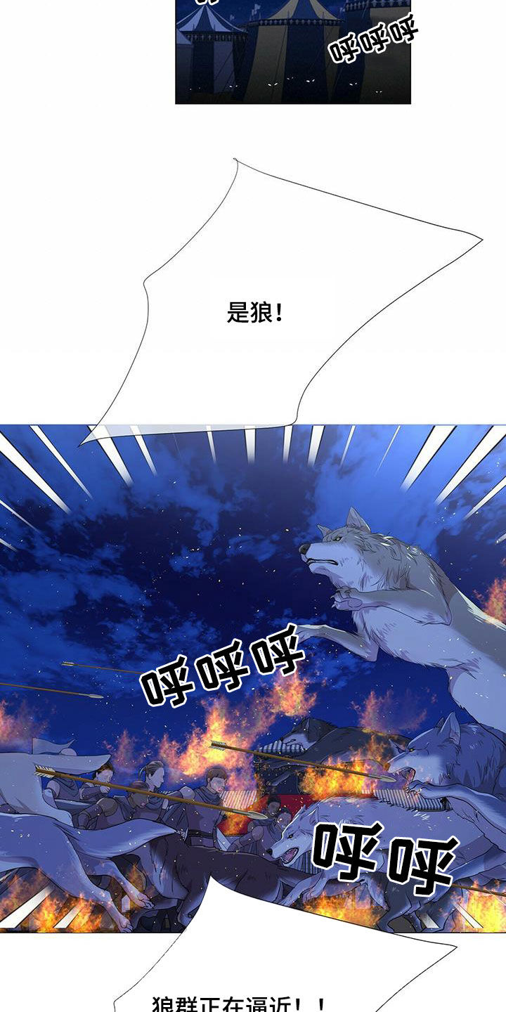 狼王子漫画,第154章：【第二季】挡箭4图