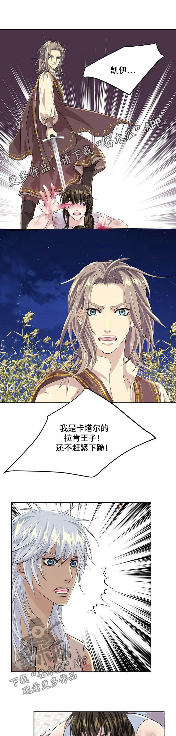 狼王子漫画,第82章：【第二季】绝不饶你1图