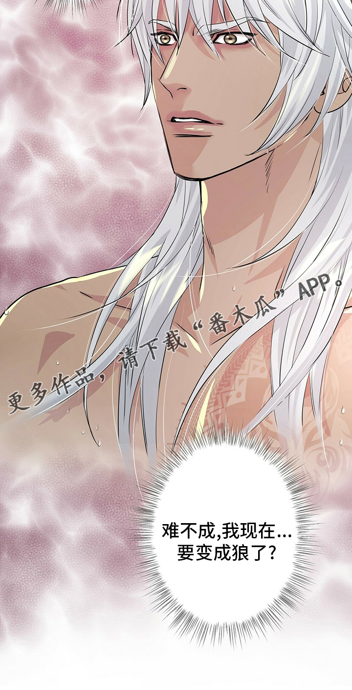 狼王子漫画,第116章：【第二季】要变成狼了？4图