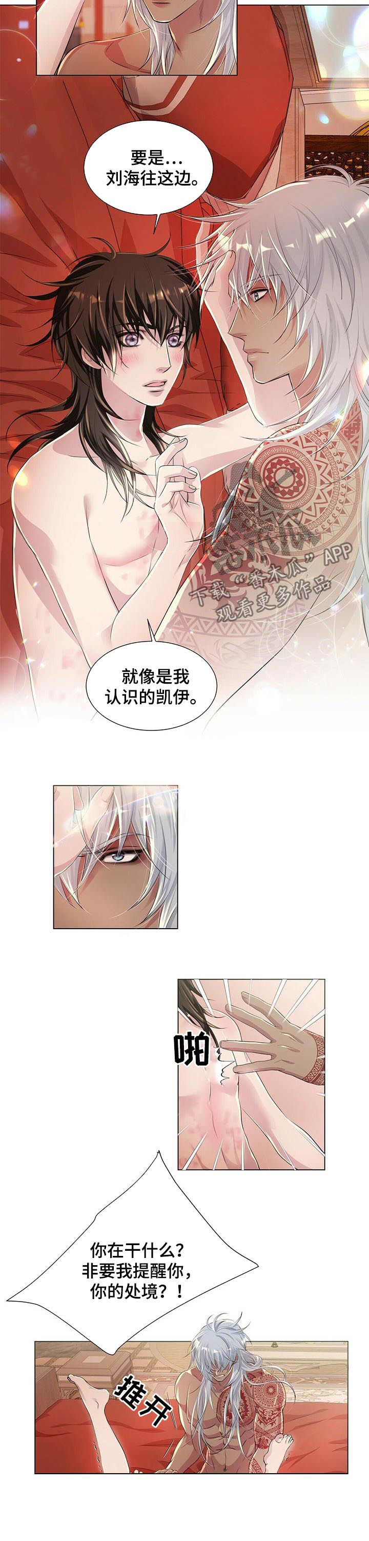 狼王子漫画,第41章：不要装1图