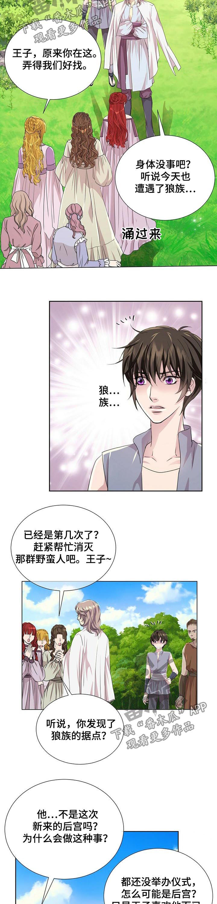 狼王子漫画,第77章：新来的后宫1图