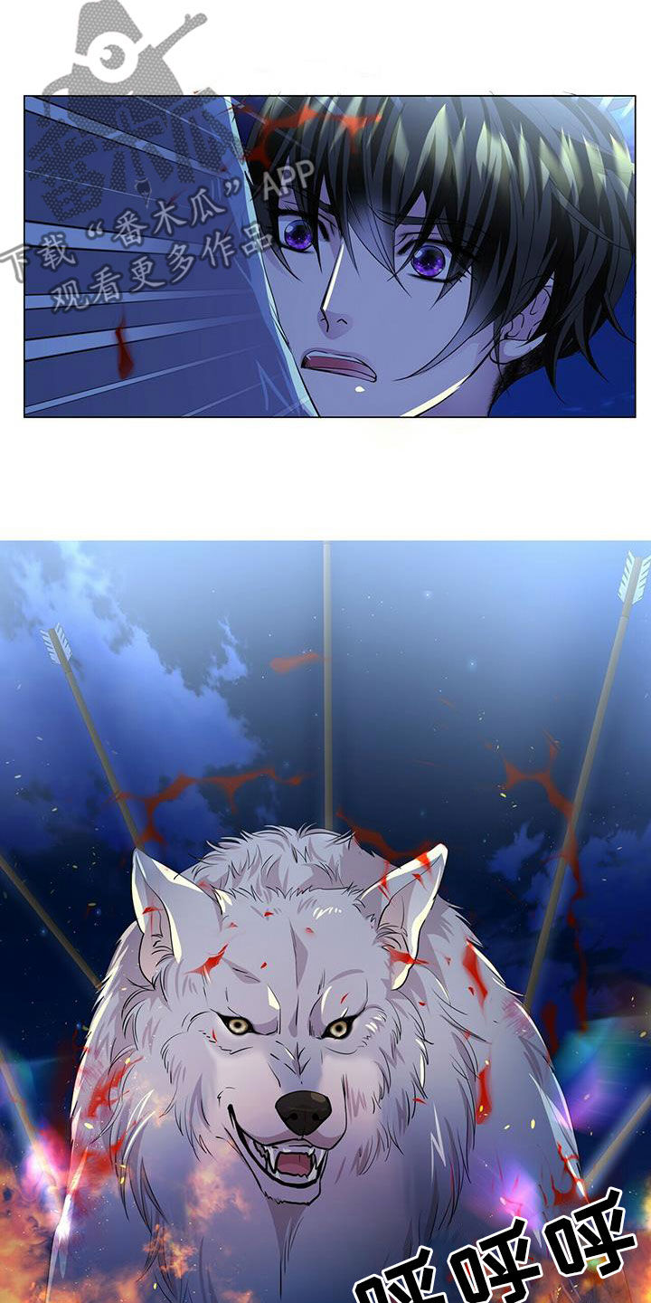 狼王子漫画,第154章：【第二季】挡箭3图