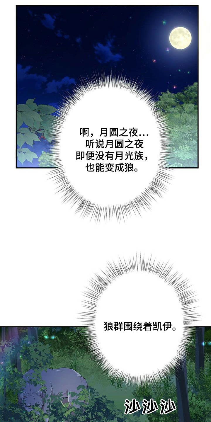 狼王子漫画,第137章：【第二季】声音4图