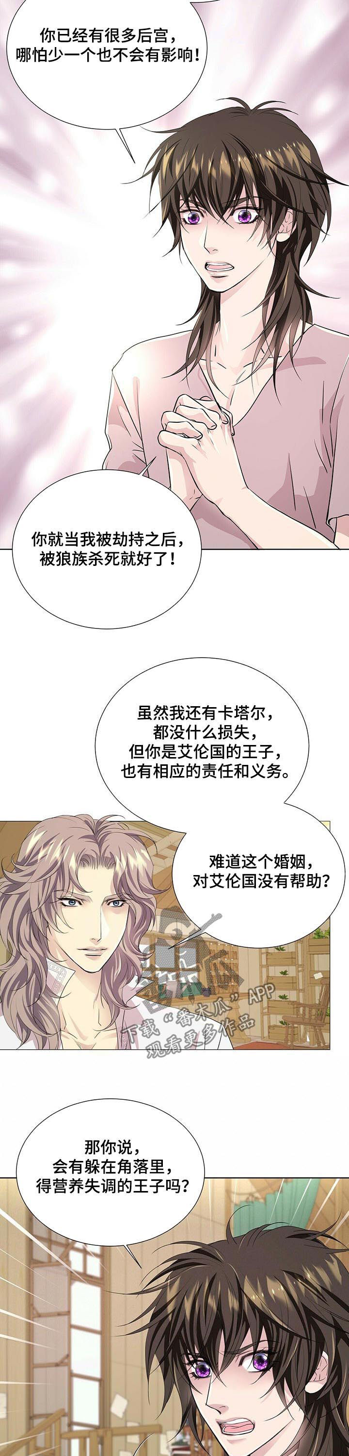 狼王子漫画,第75章：去卡塔尔2图