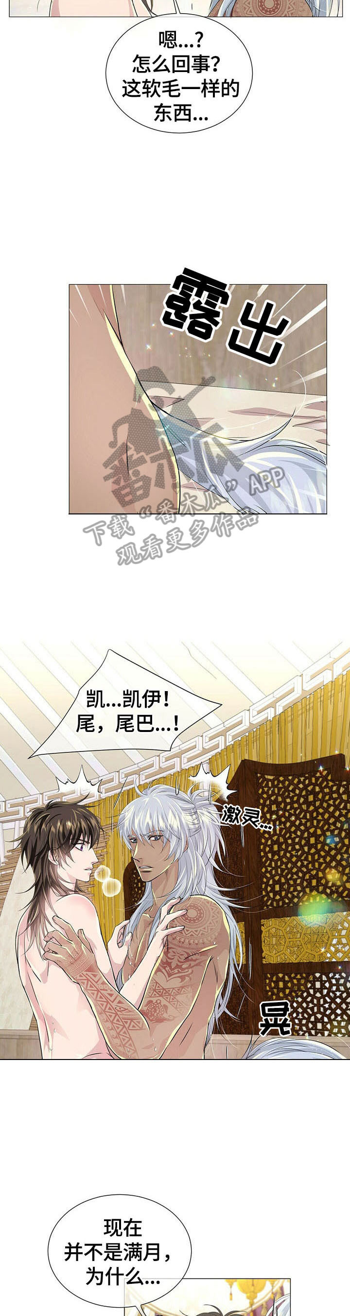 狼王子漫画,第68章：休息2图