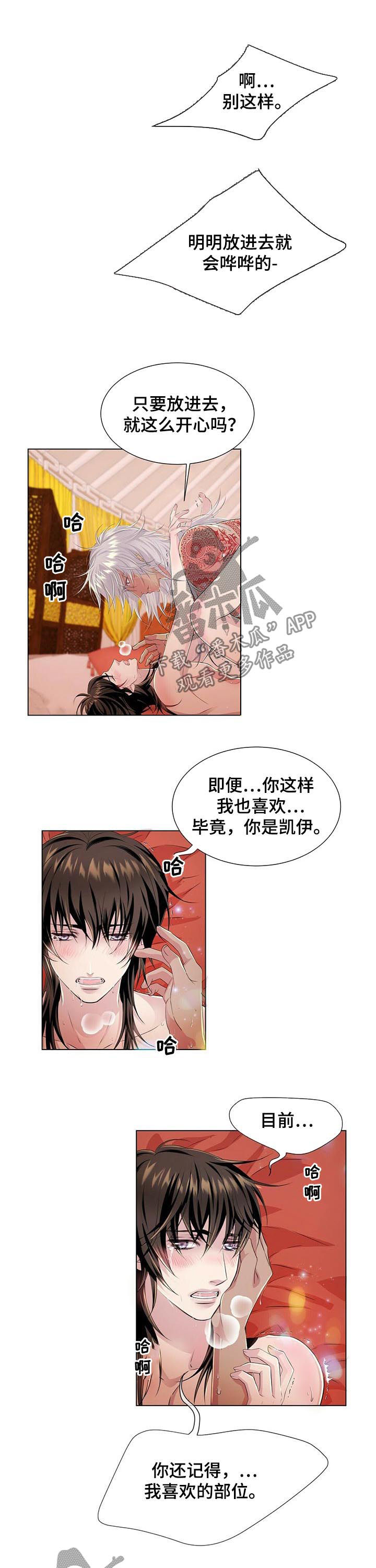 狼王子漫画,第41章：不要装2图