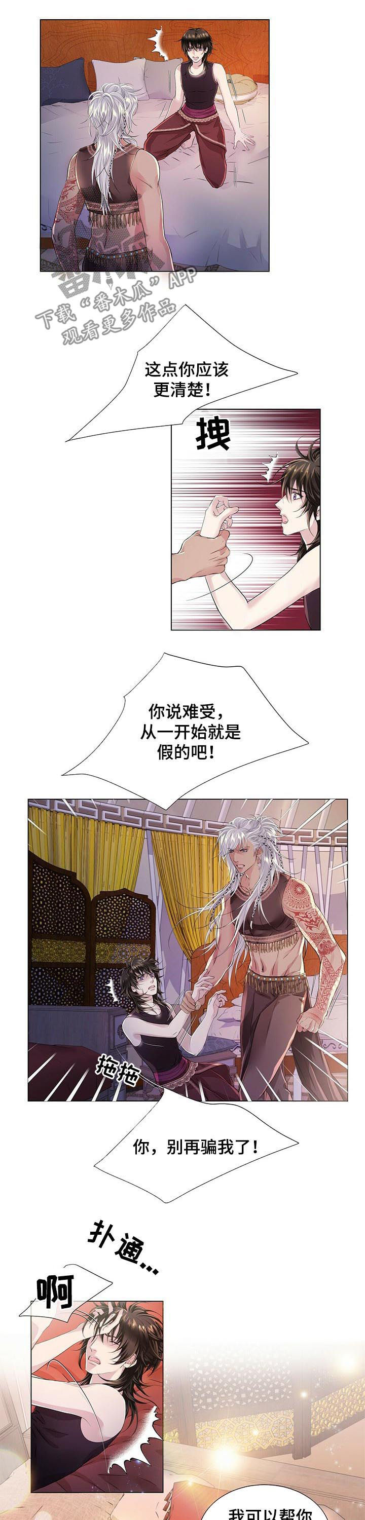 狼王子漫画,第38章：宝盒1图