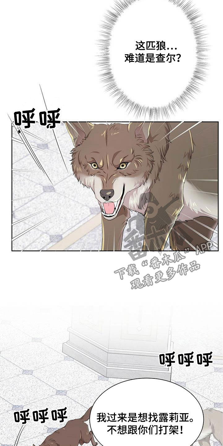 狼王子漫画,第137章：【第二季】声音2图