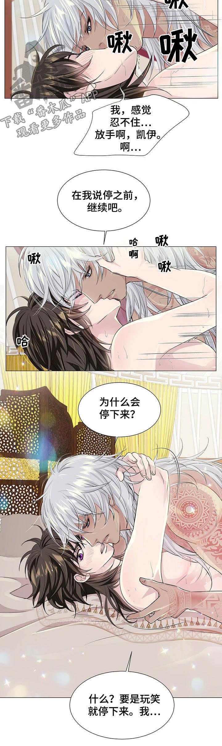 狼王子漫画,第56章：进展顺利3图
