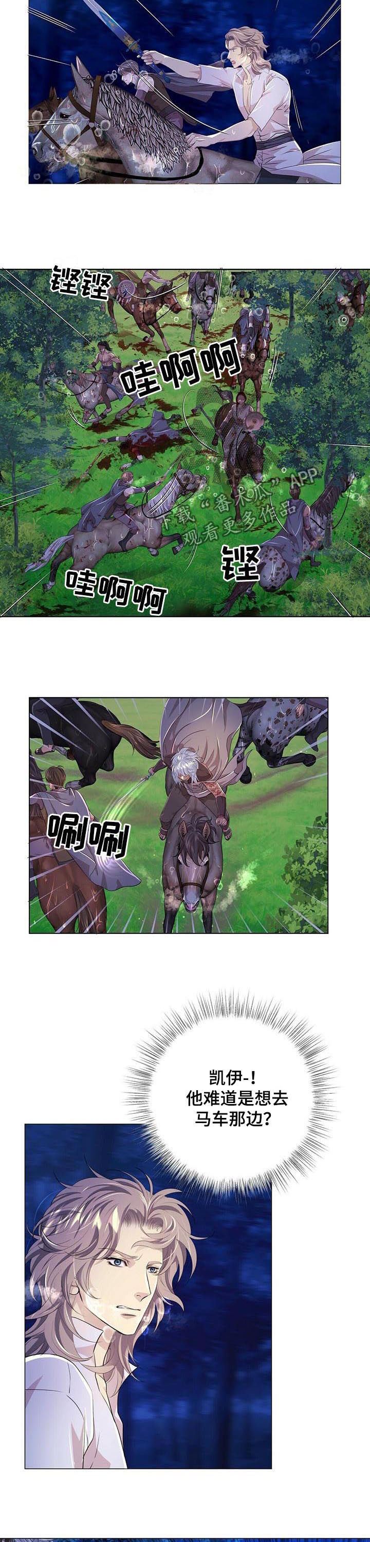 狼王子漫画,第76章：攻击4图