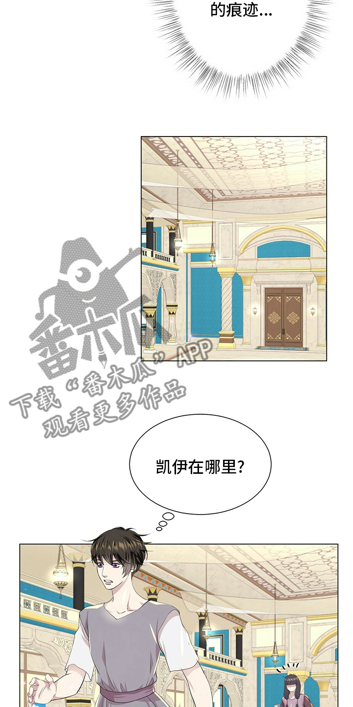 狼王子漫画,第128章：【第二季】准备行动3图