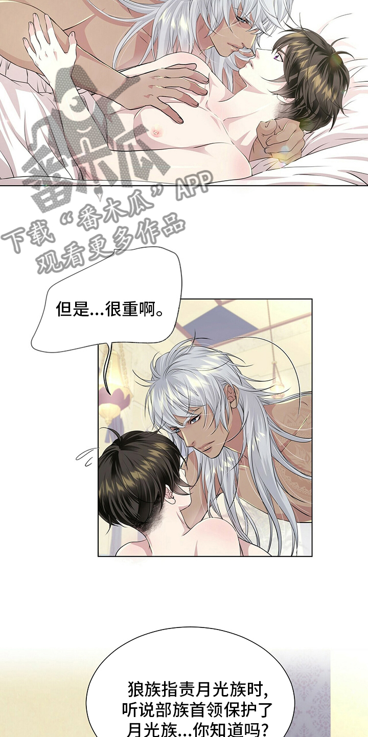狼王子漫画,第123章：【第二季】把你送走2图