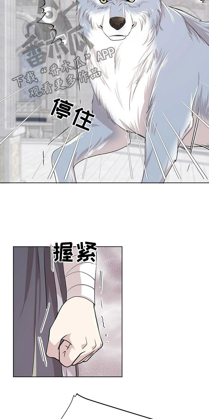 狼王子漫画,第139章：【第二季】质问5图