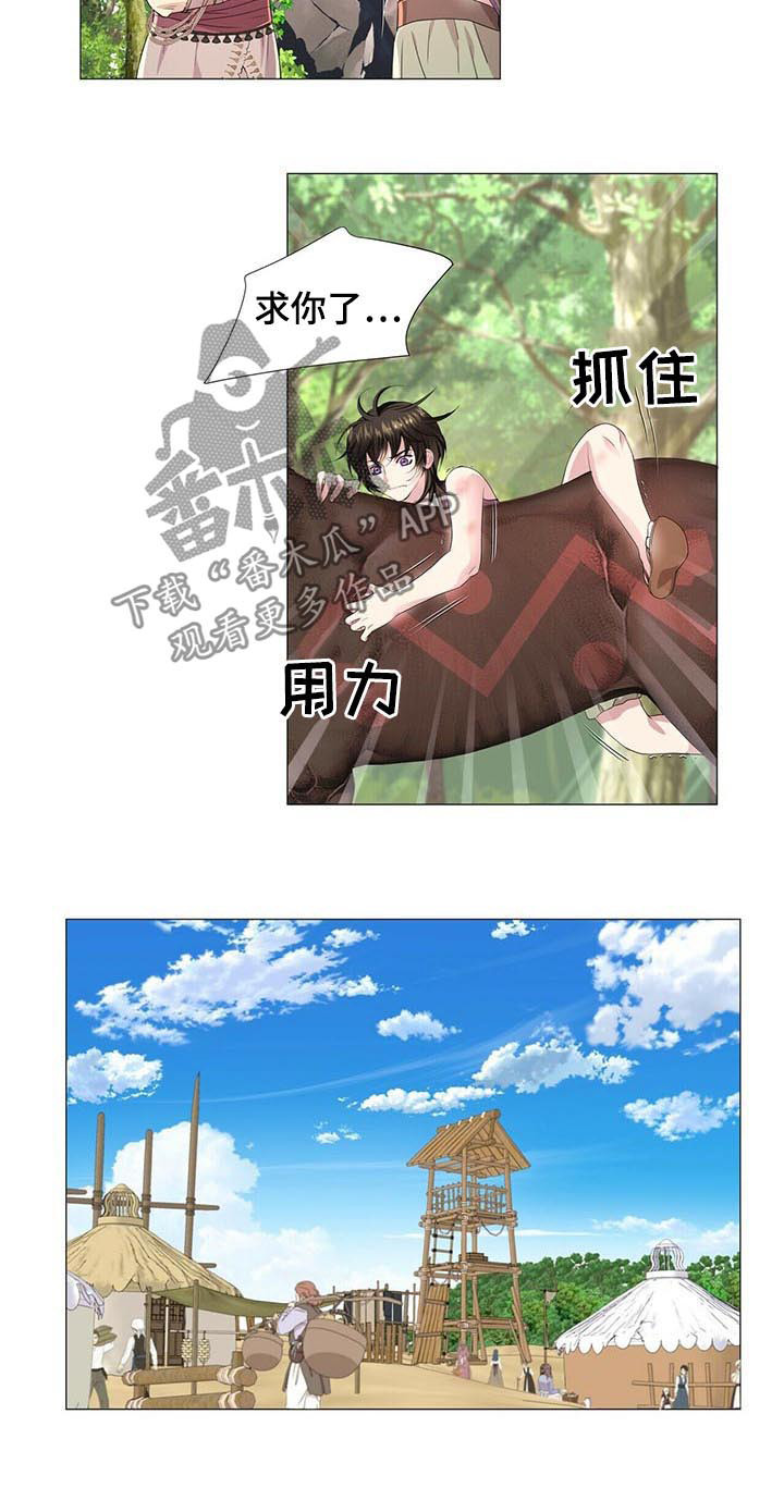 狼王子漫画,第46章：真相5图