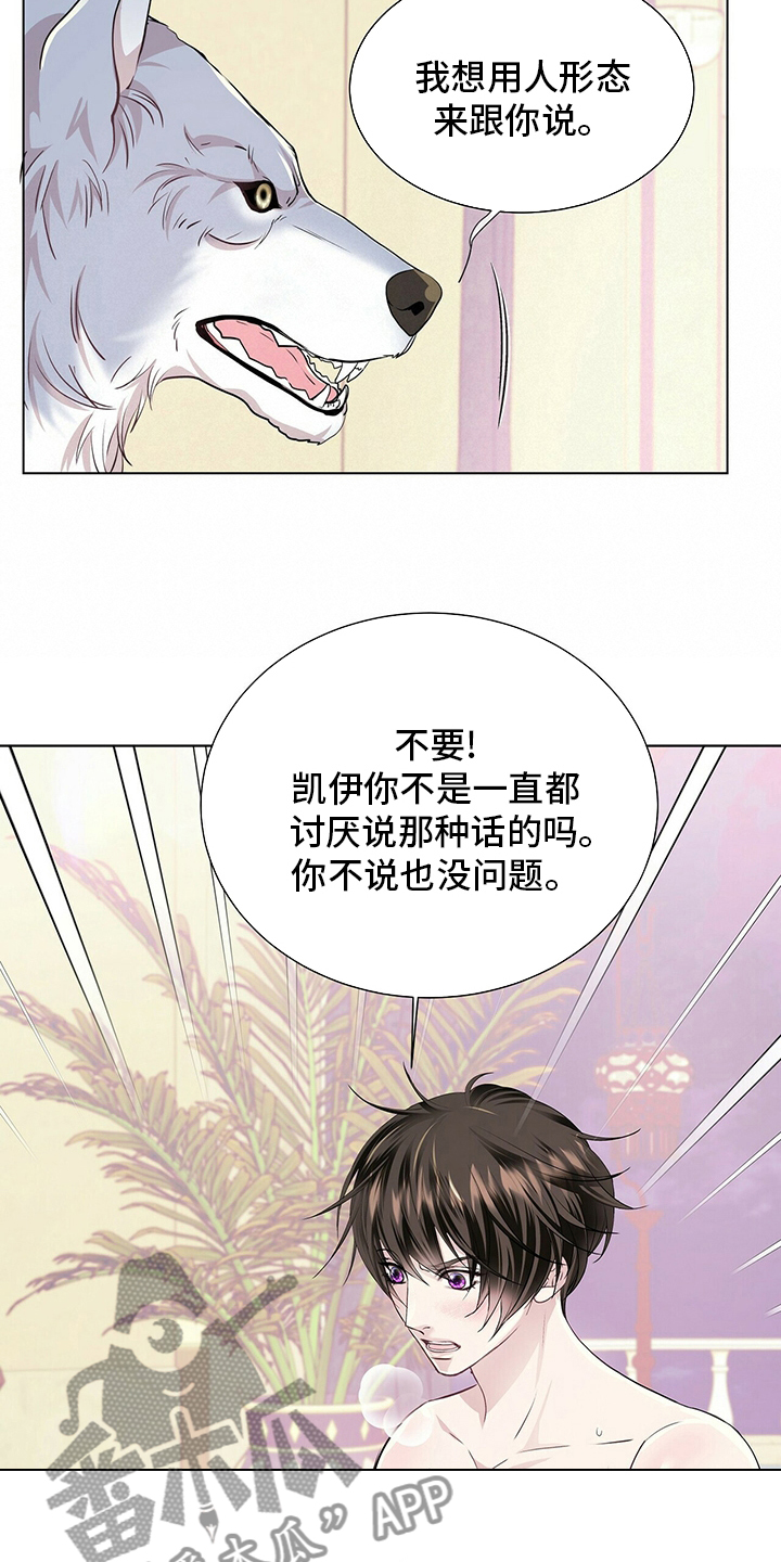 狼王子漫画,第117章：【第二季】变化3图