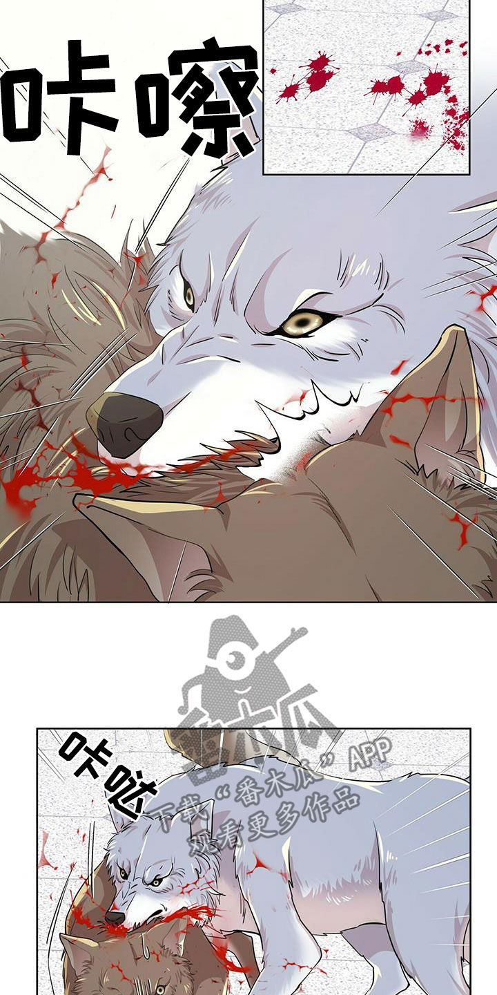 狼王子漫画,第140章：【第二季】没话可说4图