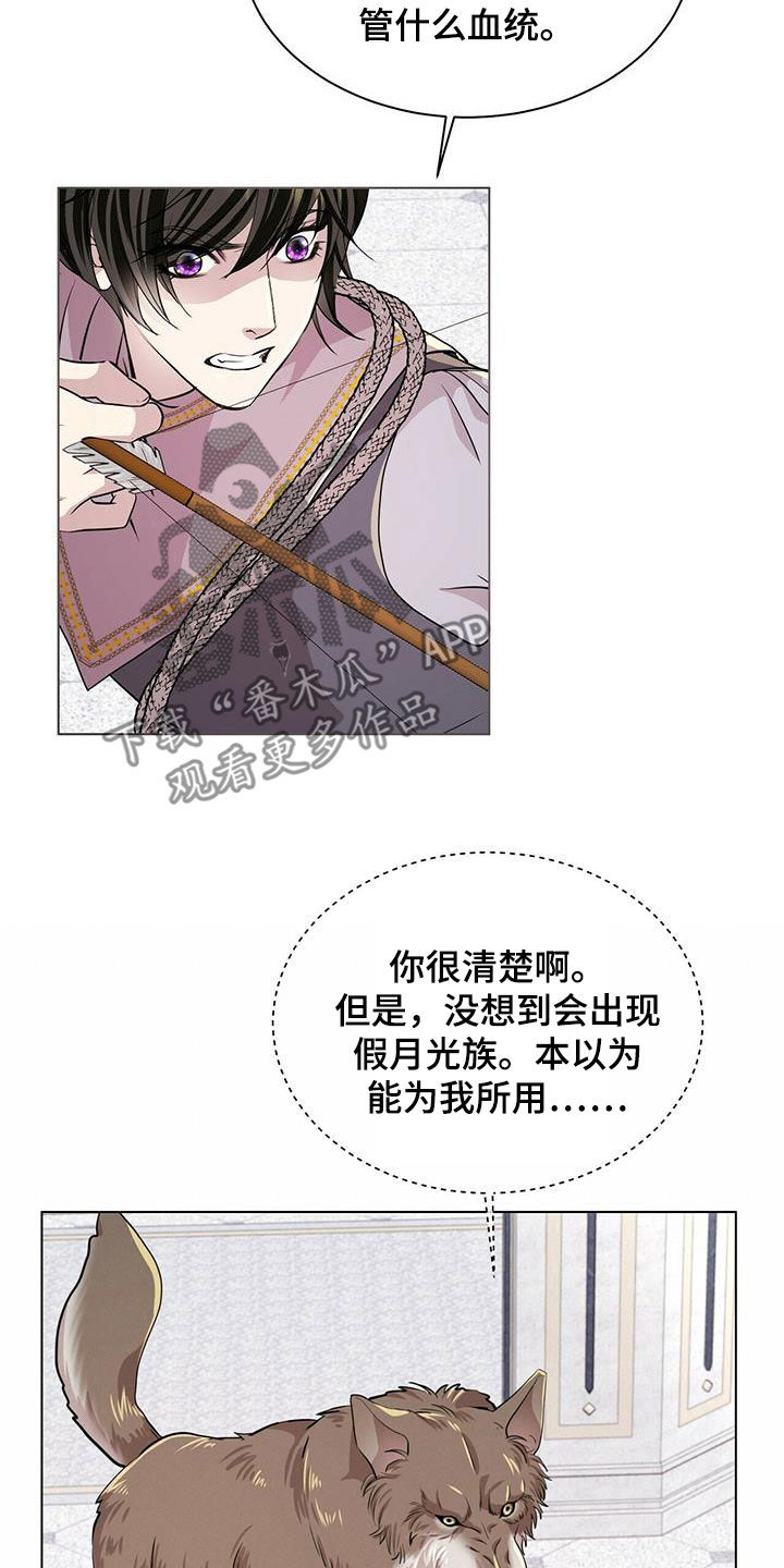 狼王子漫画,第139章：【第二季】质问1图