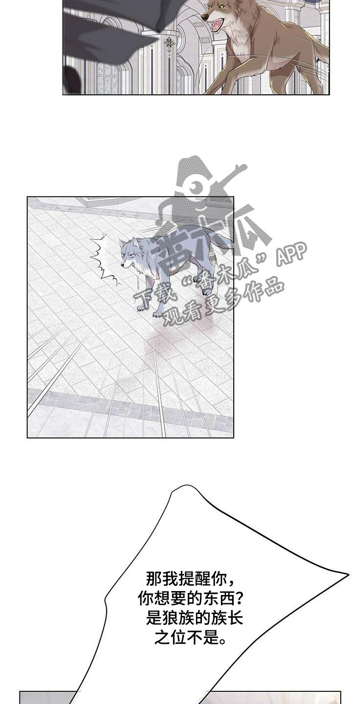 狼王子漫画,第139章：【第二季】质问4图