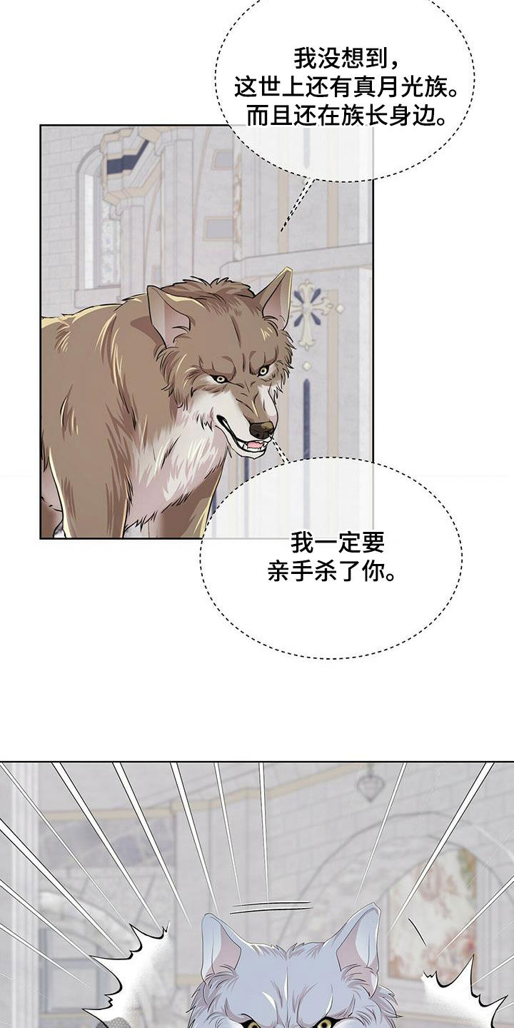 狼王子漫画,第139章：【第二季】质问4图