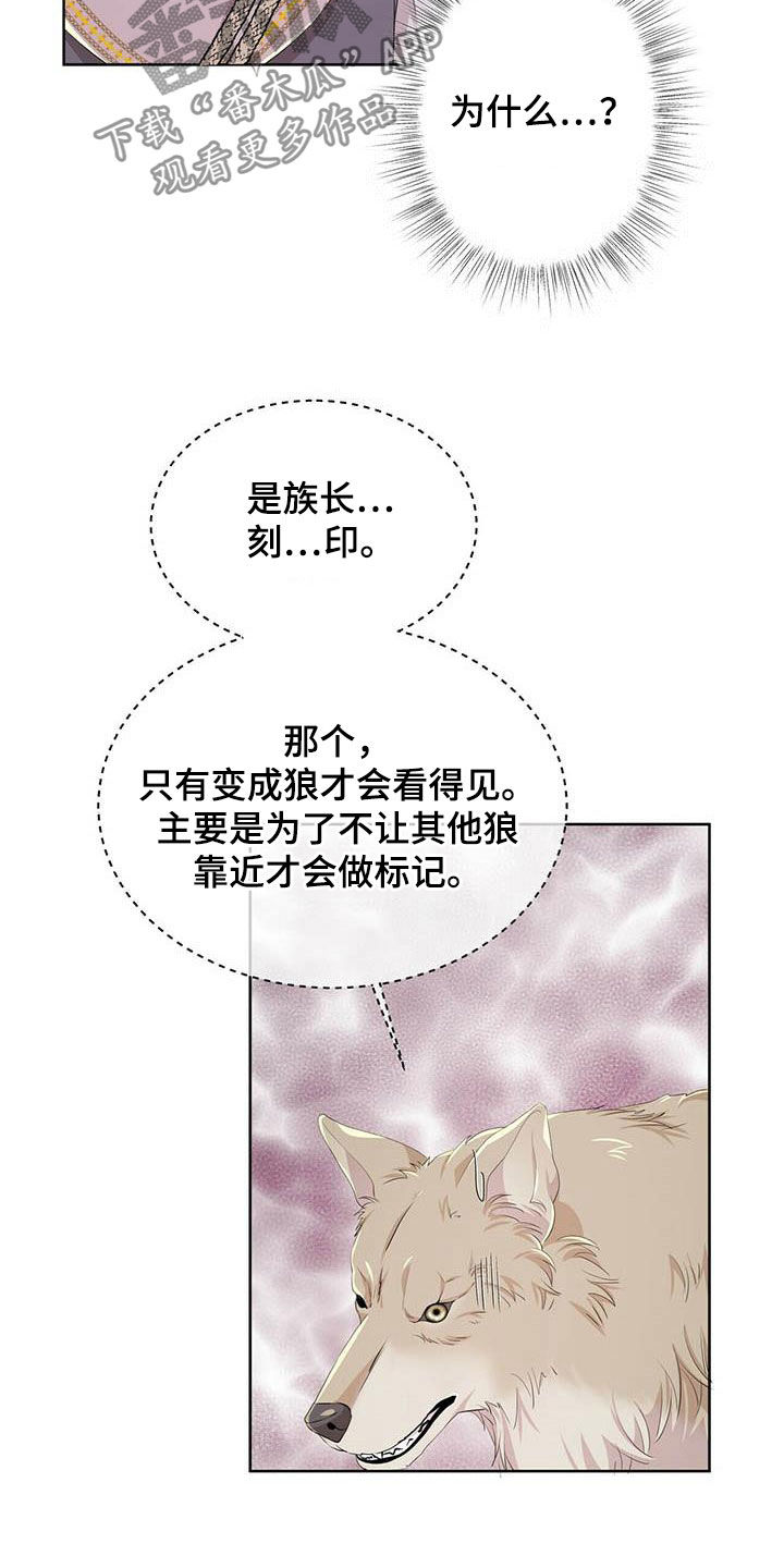 狼王子漫画,第138章：【第二季】对话3图