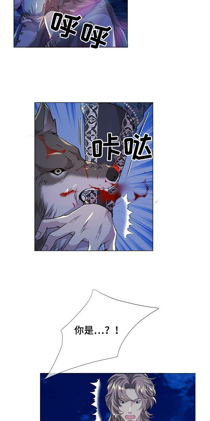 狼王子漫画,第154章：【第二季】挡箭1图