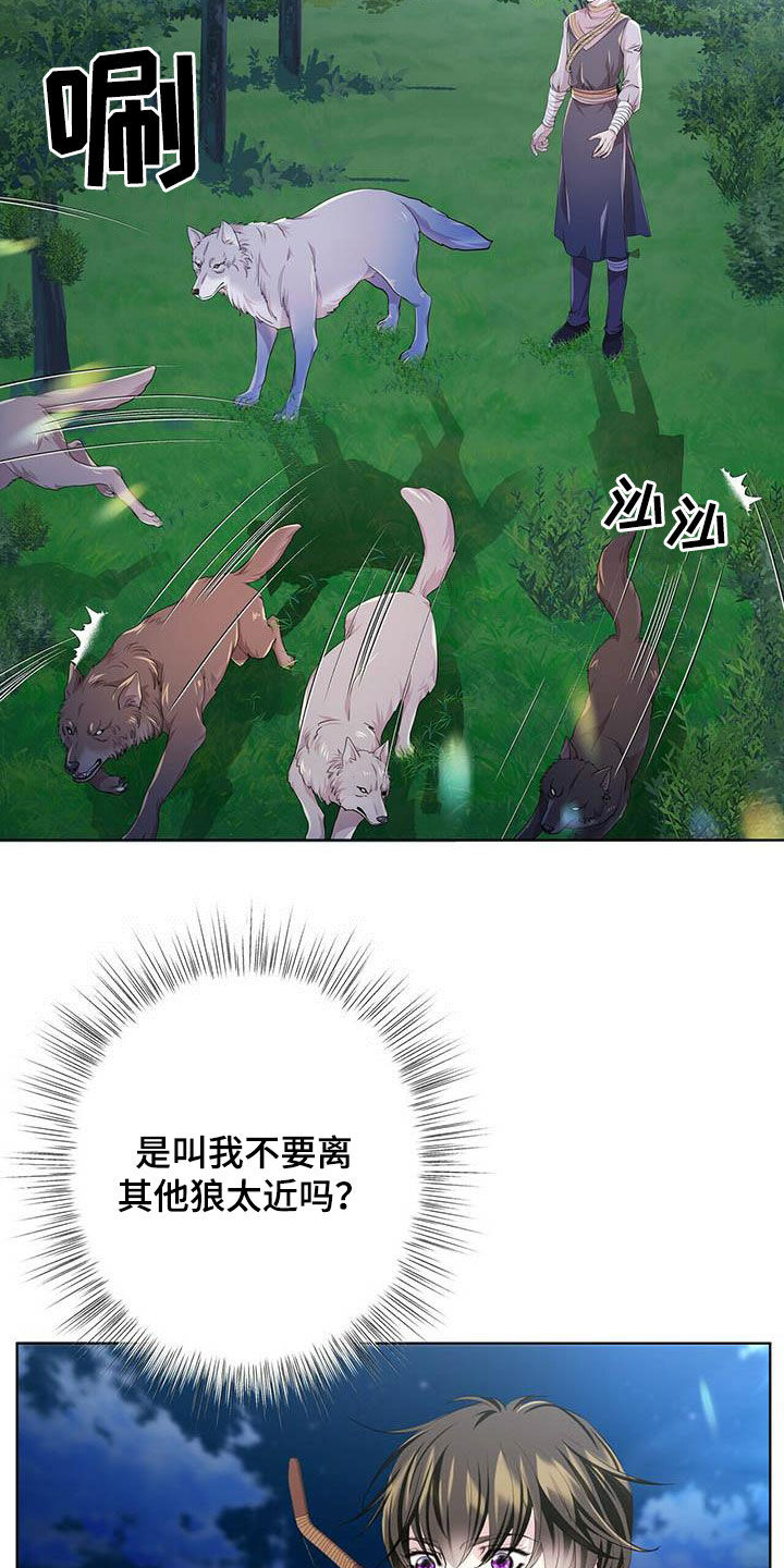 狼王子漫画,第137章：【第二季】声音3图
