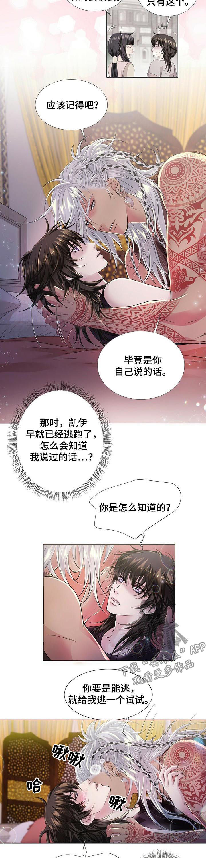 狼王子漫画,第38章：宝盒3图