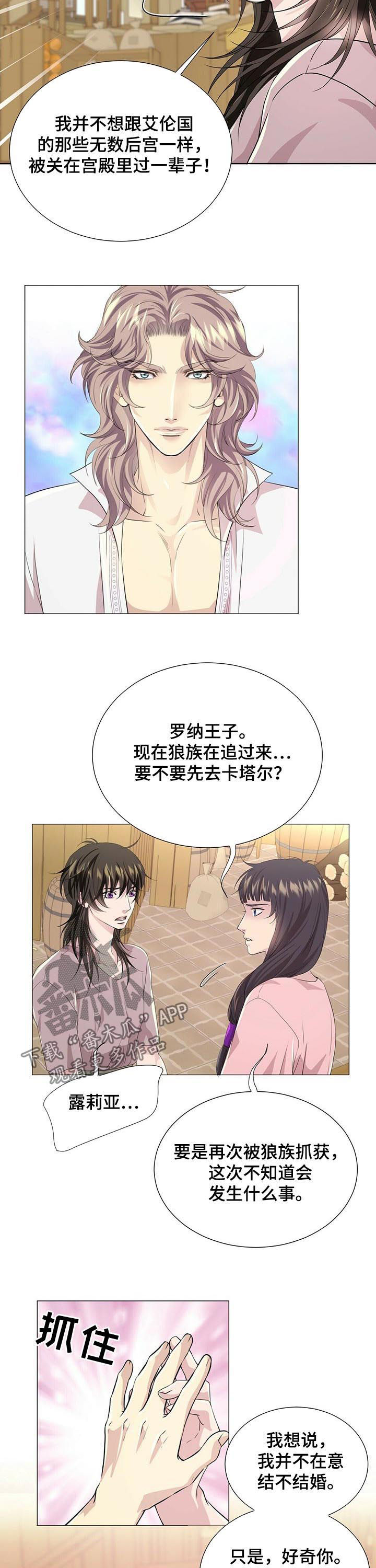 狼王子漫画,第75章：去卡塔尔3图