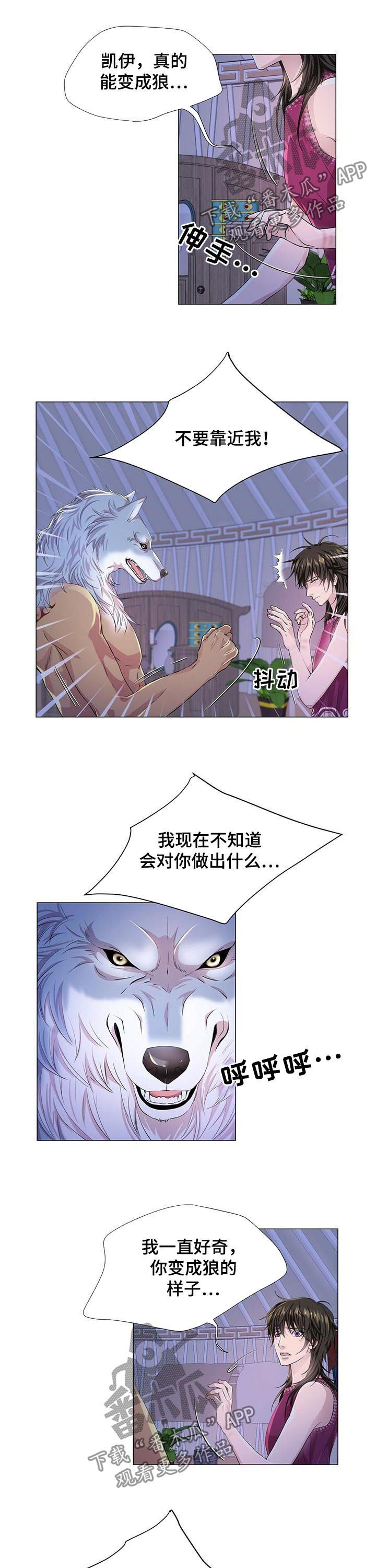 狼王子漫画,第59章：香味2图