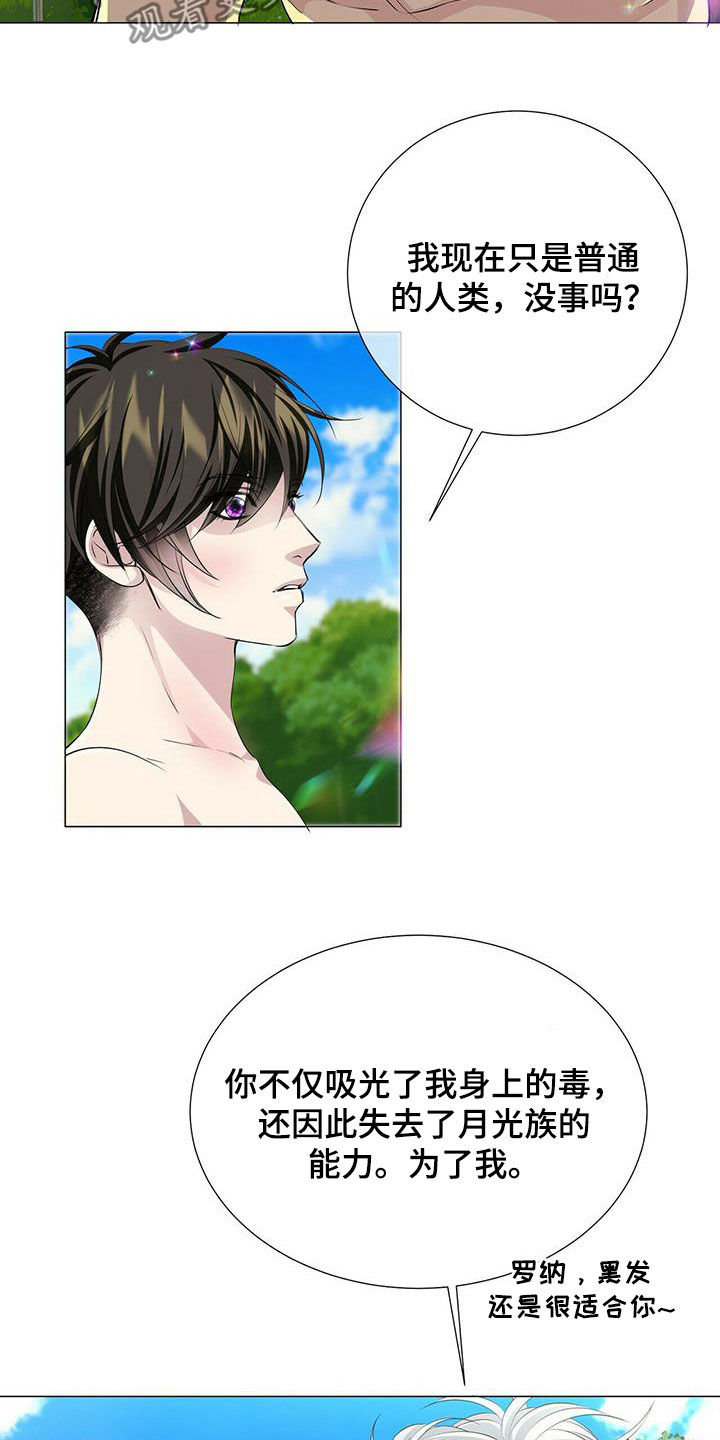 狼王子漫画,第156章：【第二季完结】普通人2图