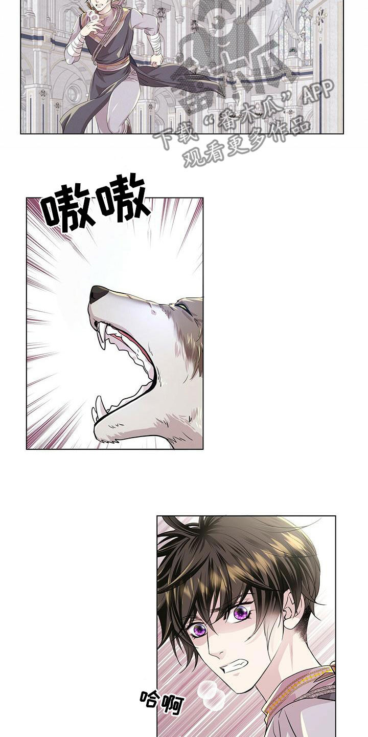 狼王子漫画,第139章：【第二季】质问5图
