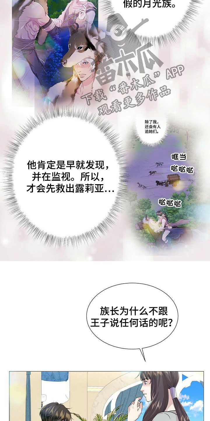 狼王子漫画,第149章：【第二季】银发1图
