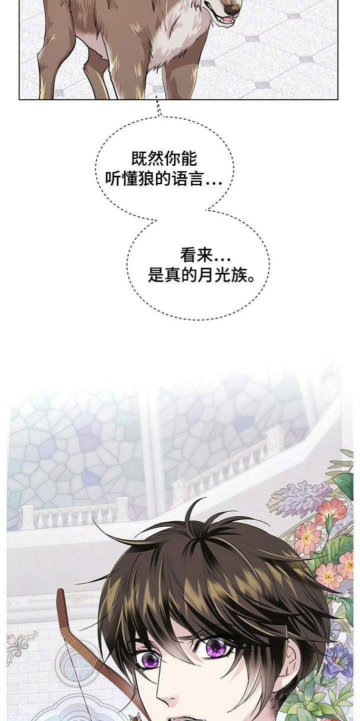 狼王子漫画,第139章：【第二季】质问2图