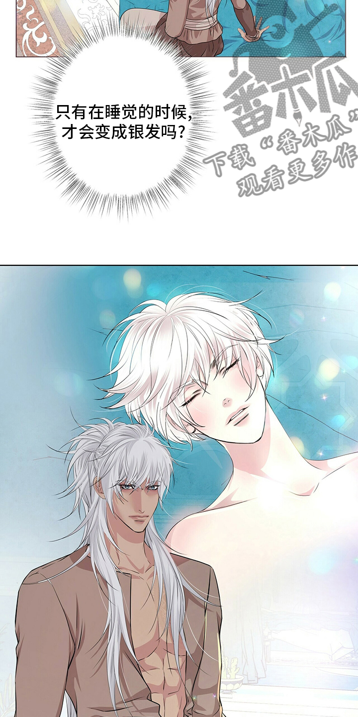 狼王子漫画,第122章：【第二季】行动4图