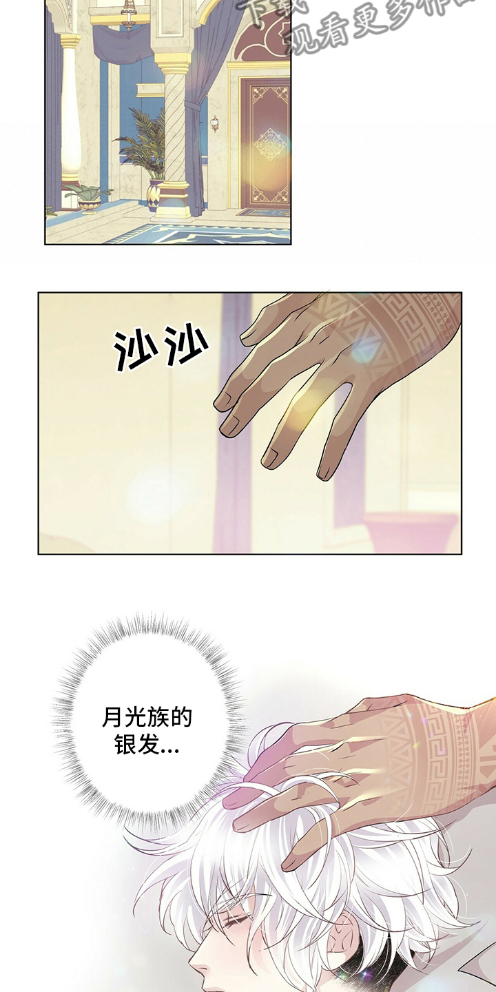 狼王子漫画,第117章：【第二季】变化2图