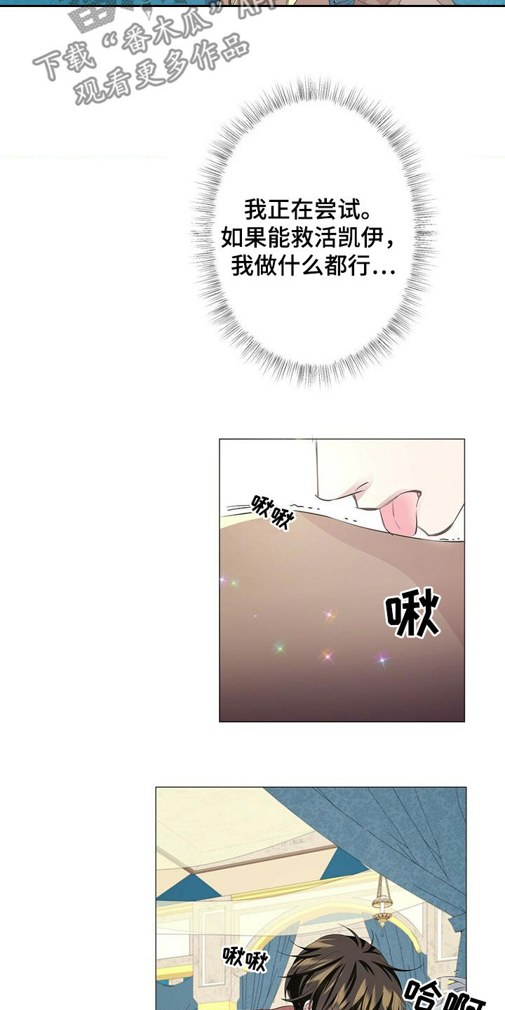 狼王子漫画,第156章：【第二季完结】普通人5图