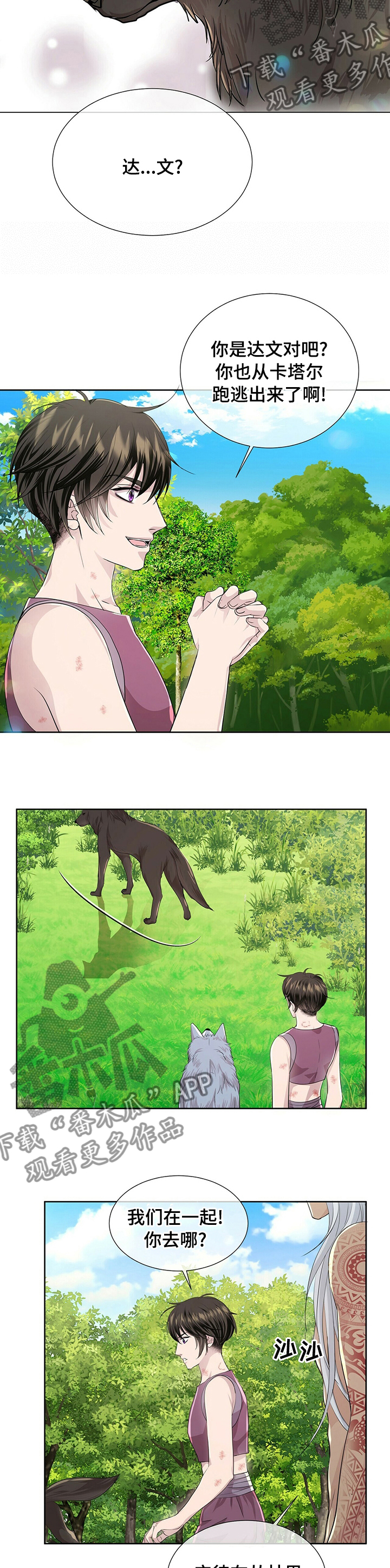 狼王子漫画,第99章：【第二季】其他狼2图