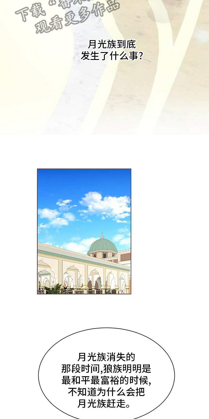 狼王子漫画,第122章：【第二季】行动1图