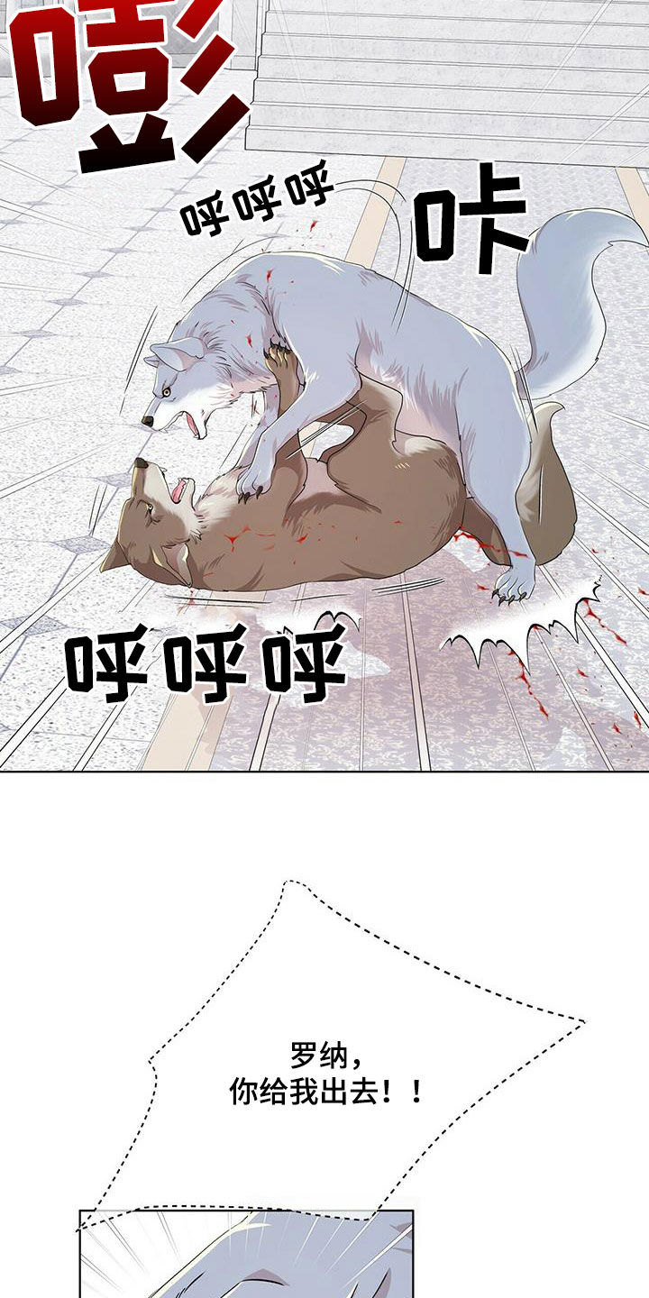 狼王子漫画,第140章：【第二季】没话可说4图