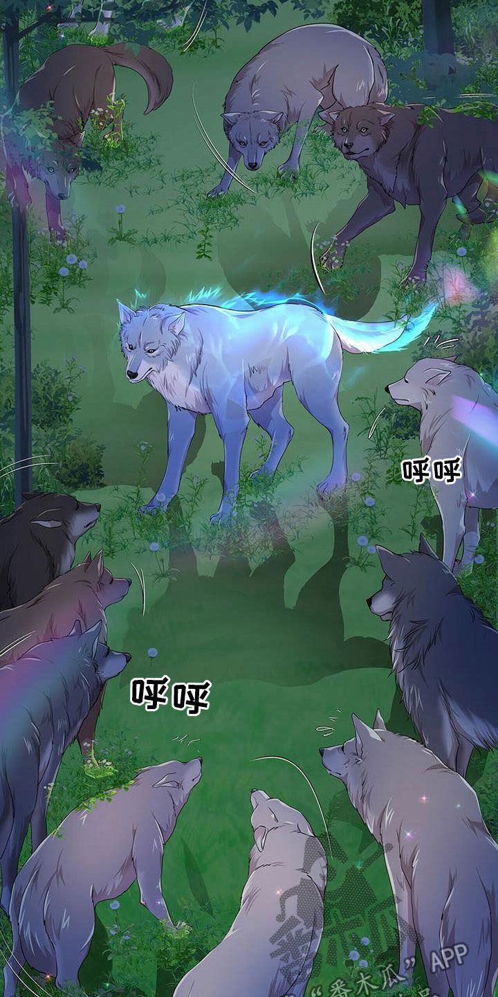 狼王子漫画,第137章：【第二季】声音5图