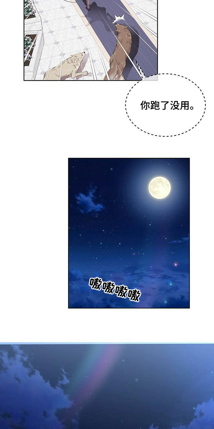 狼王子漫画,第138章：【第二季】对话3图