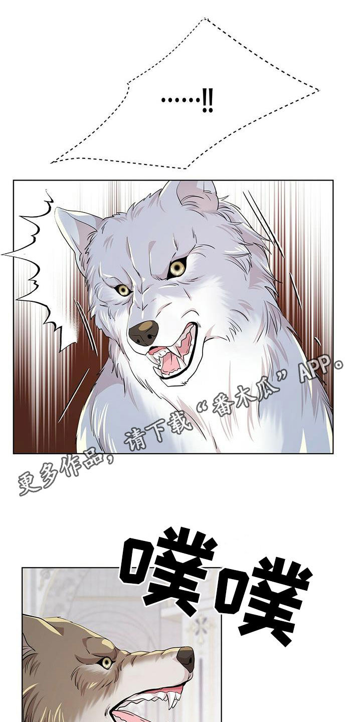 狼王子漫画,第140章：【第二季】没话可说1图