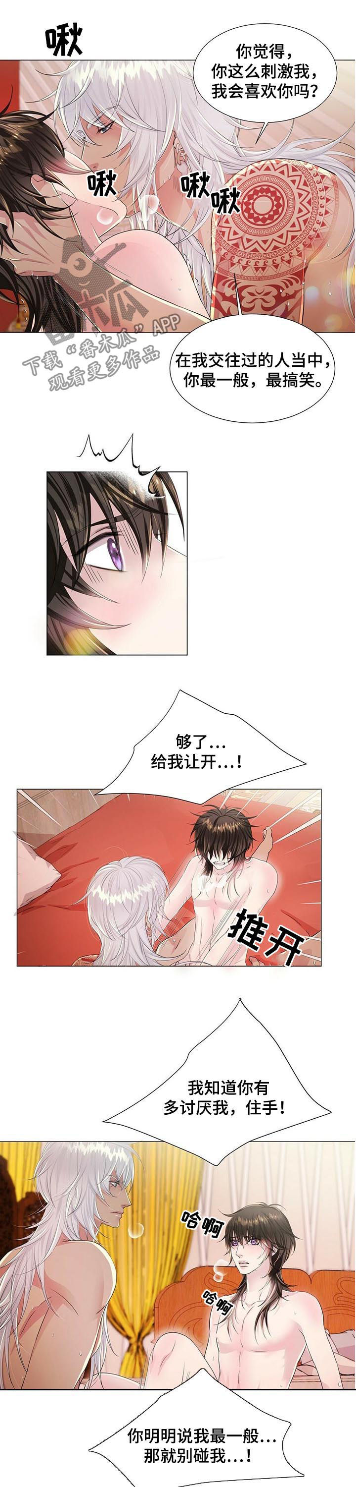 狼王子漫画,第42章：等到天亮5图