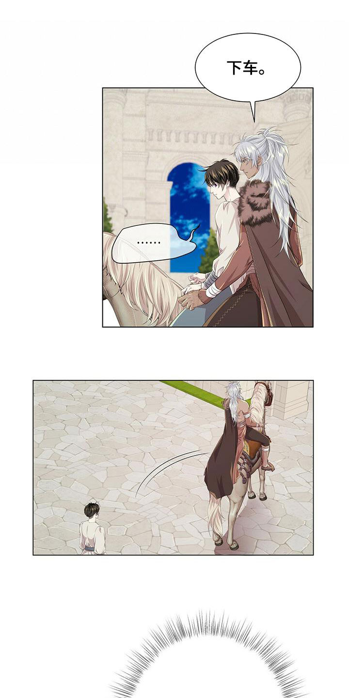 狼王子漫画,第135章：【第二季】诱饵1图